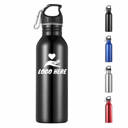 17oz Stainless Steel Water Bottle with Carabiner